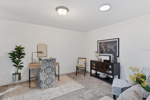 office area featuring a textured ceiling, baseboards, and carpet