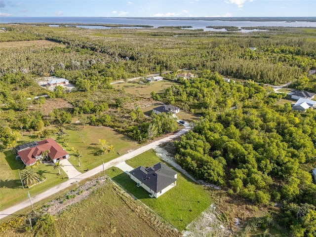 birds eye view of property with a forest view and a water view