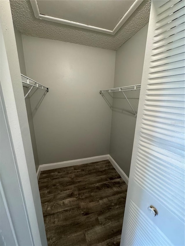 walk in closet featuring dark hardwood / wood-style floors