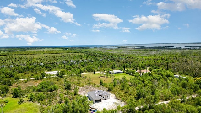 drone / aerial view with a forest view