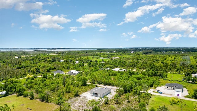 drone / aerial view with a water view and a view of trees