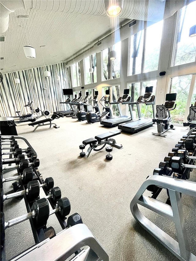 gym with carpet flooring