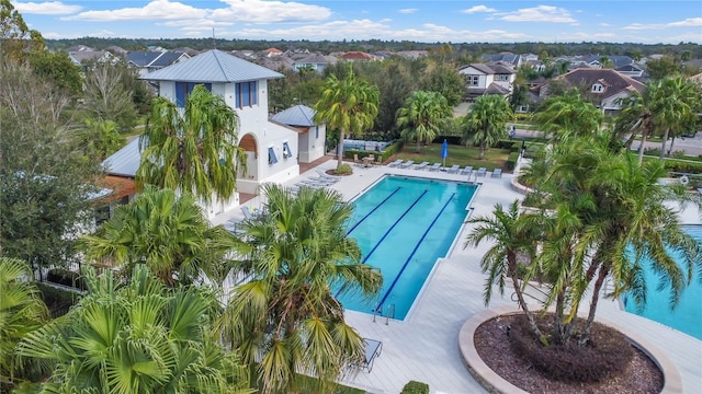 view of pool featuring a patio