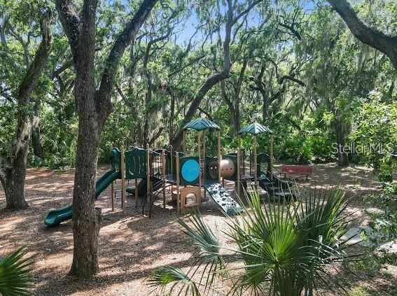 view of jungle gym