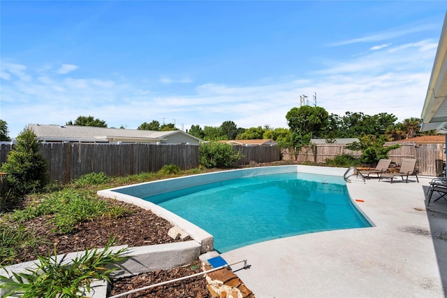 view of swimming pool with a patio area