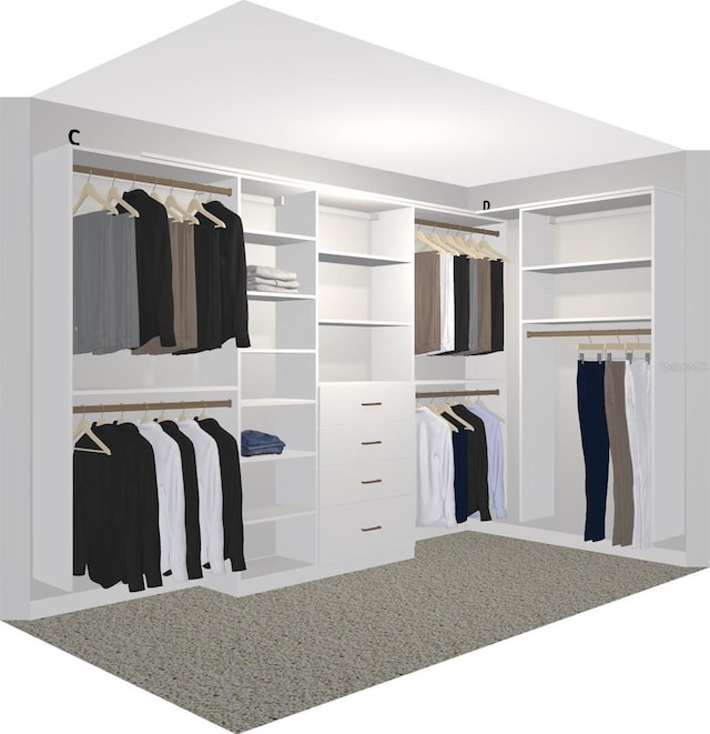 view of closet