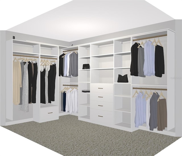 view of walk in closet
