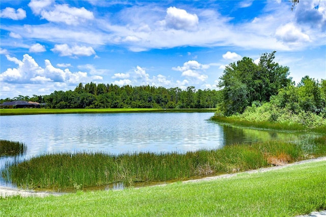 property view of water