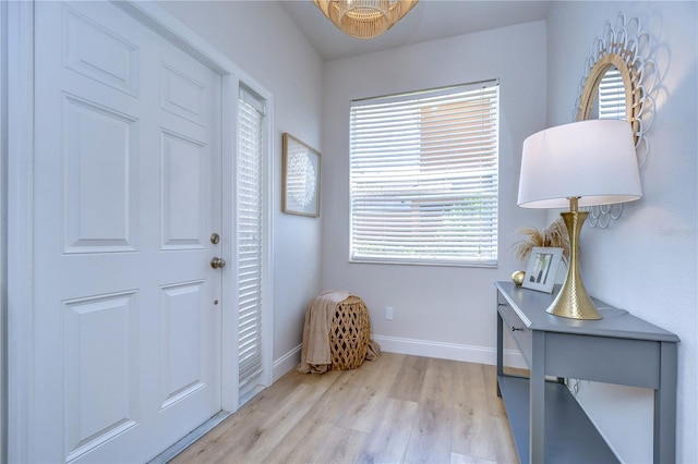 20131 Nob Oak Ave, Tampa, FL 33647 - foyer entrance featuring wood finished floors and baseboards