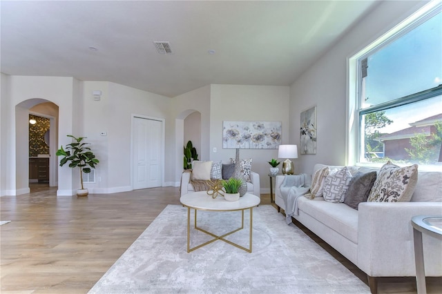 20131 Nob Oak Ave, Tampa, FL 33647 - living area featuring arched walkways, light wood-type flooring, and baseboards