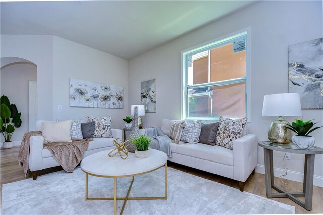 20131 Nob Oak Ave, Tampa, FL 33647 - living area with arched walkways, wood finished floors, and baseboards