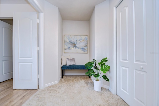 20131 Nob Oak Ave, Tampa, FL 33647 - hall with baseboards and wood finished floors