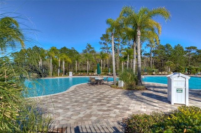 20131 Nob Oak Ave, Tampa, FL 33647 - community pool featuring view of wooded area and a patio area