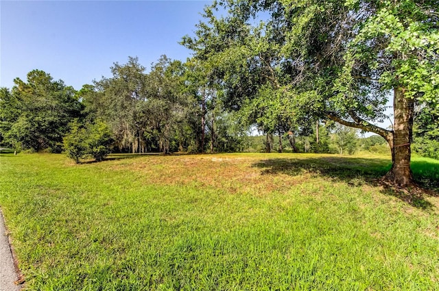 Listing photo 3 for 12411 Quail Ridge Dr, Spring Hill FL 34610