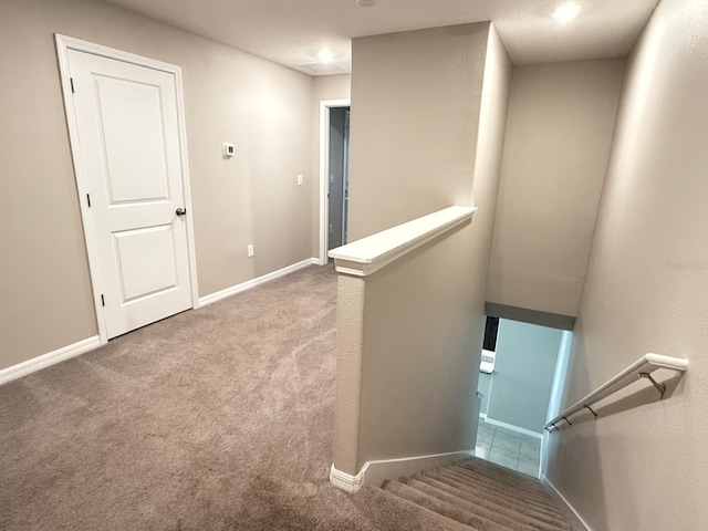 stairway with carpet floors