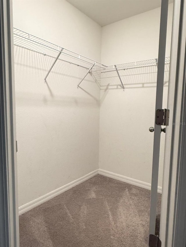 walk in closet with carpet