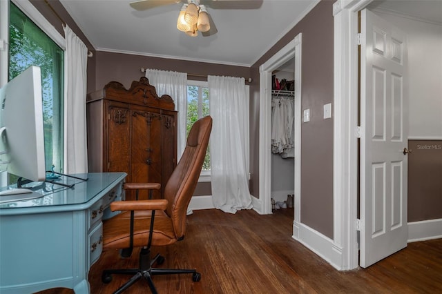 home office with ceiling fan, crown molding, and dark hardwood / wood-style floors