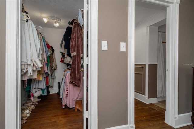 spacious closet featuring dark hardwood / wood-style floors