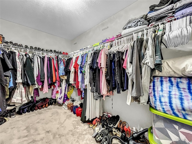 walk in closet featuring carpet flooring