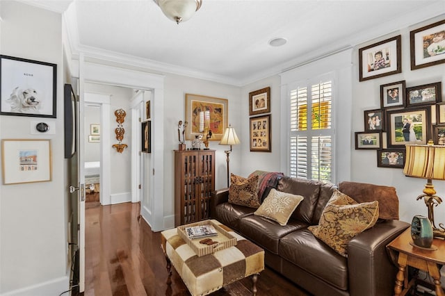 living room featuring ornamental molding and dark hardwood / wood-style flooring