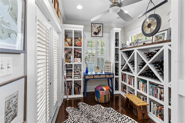 wine room with ornamental molding, dark hardwood / wood-style floors, and ceiling fan