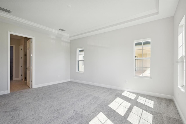 empty room featuring ornamental molding and light carpet