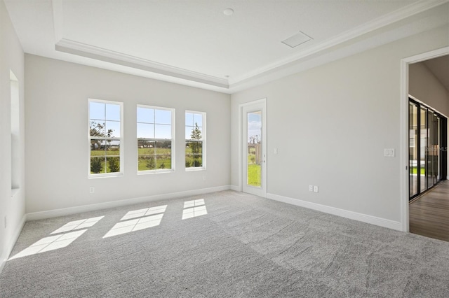 carpeted spare room with a tray ceiling