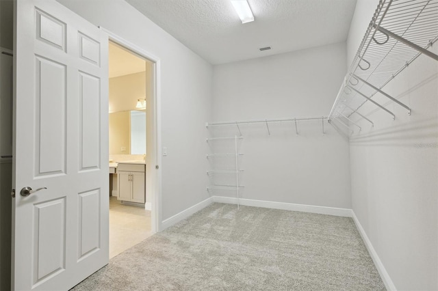 spacious closet with light carpet