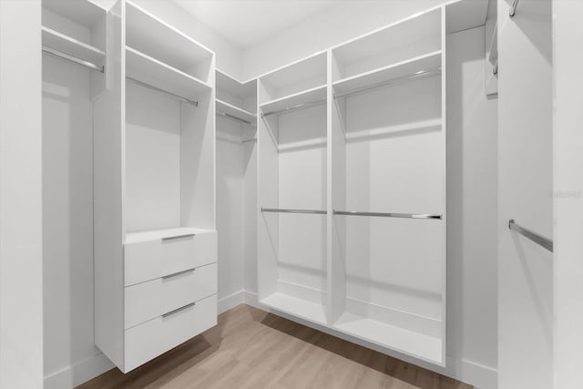 walk in closet with light hardwood / wood-style floors