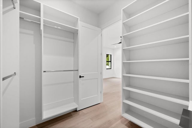 walk in closet with hardwood / wood-style floors