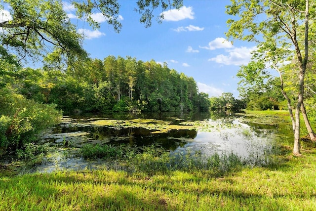 view of landscape