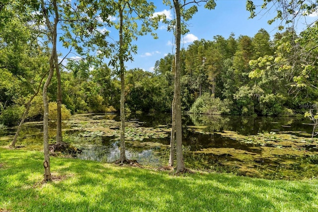 view of nature featuring a water view