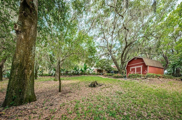 view of yard featuring a shed