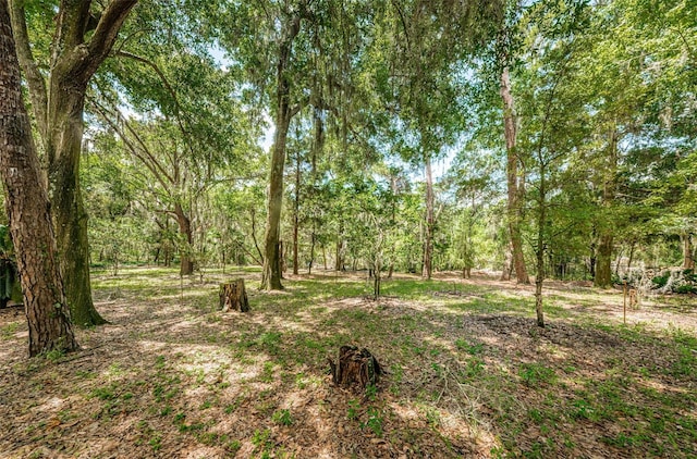 view of local wilderness