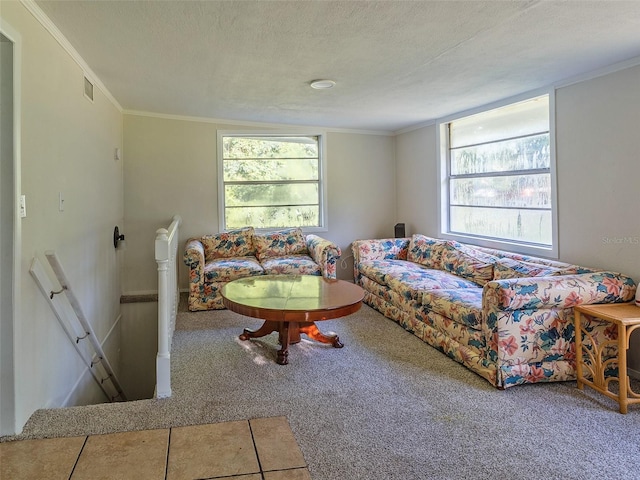 carpeted living room with ornamental molding, plenty of natural light, and a textured ceiling