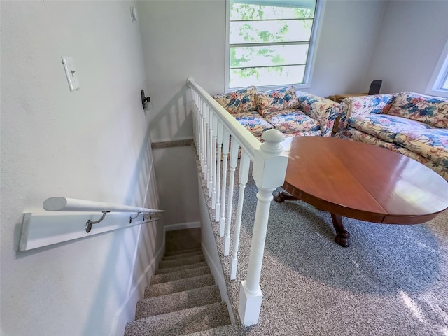 staircase featuring carpet flooring