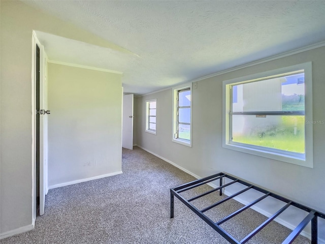 carpeted spare room with crown molding and a textured ceiling