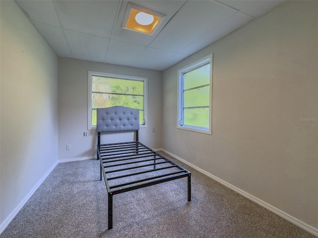 interior space with carpet and a drop ceiling