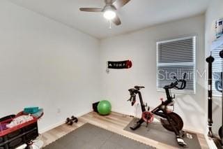 exercise area with ceiling fan and wood-type flooring