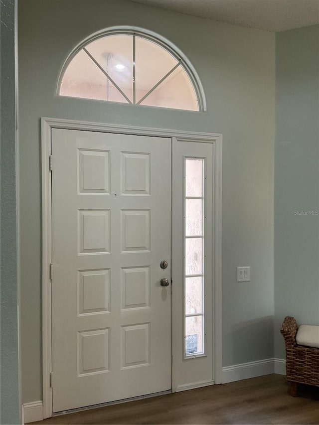 foyer featuring hardwood / wood-style flooring and a healthy amount of sunlight