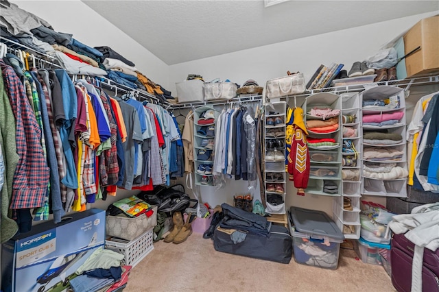 walk in closet with carpet floors