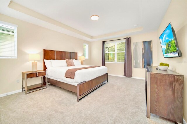 carpeted bedroom featuring a tray ceiling