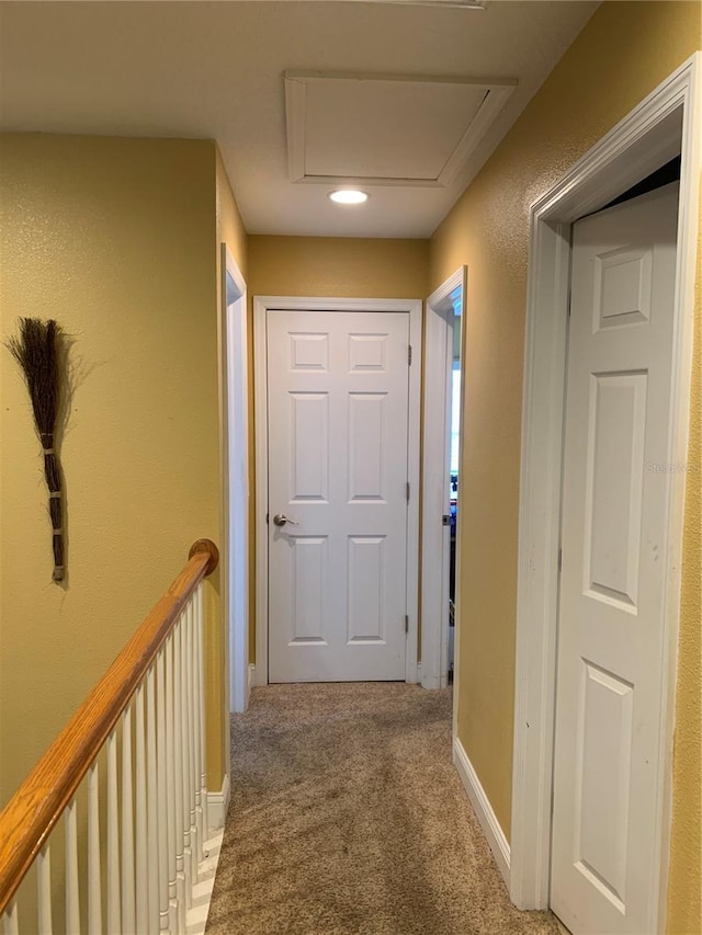 hallway featuring attic access, baseboards, and carpet