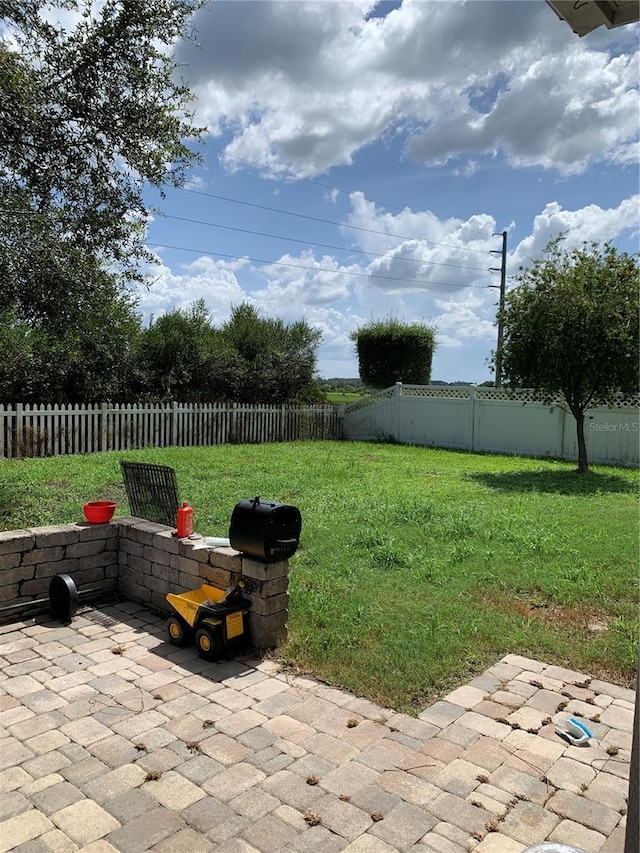 view of yard featuring a fenced backyard and a patio