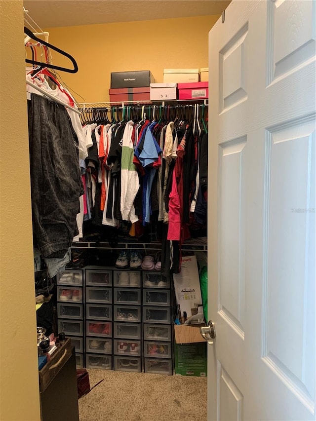 32502 Summerglade Dr, Wesley Chapel, FL 33545 - spacious closet with carpet