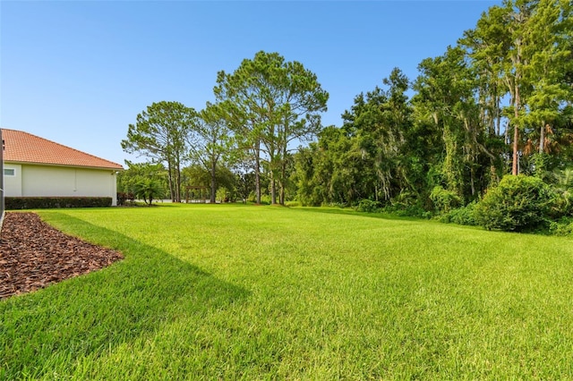 view of yard