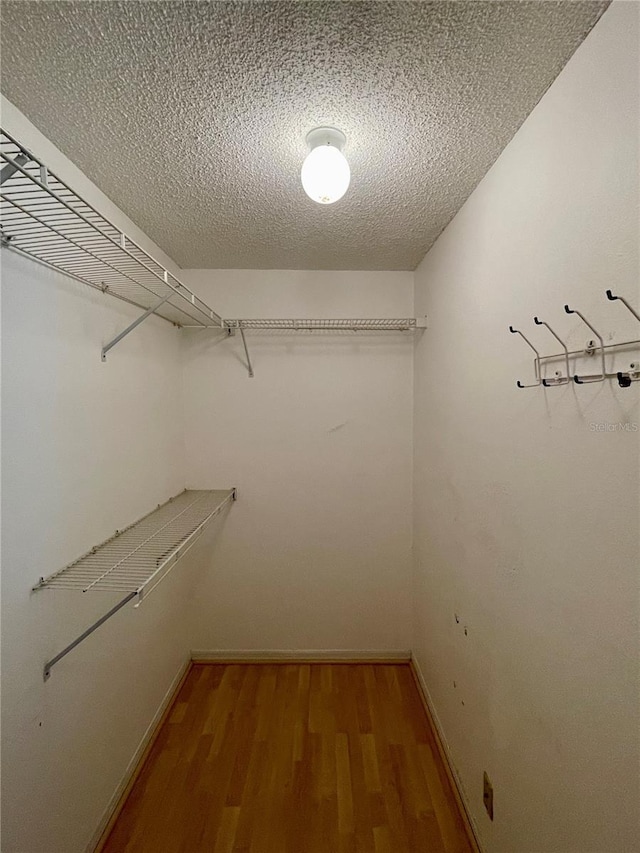 walk in closet with hardwood / wood-style floors