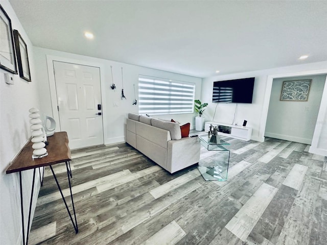 living room featuring hardwood / wood-style floors