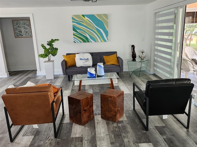 living room with hardwood / wood-style floors