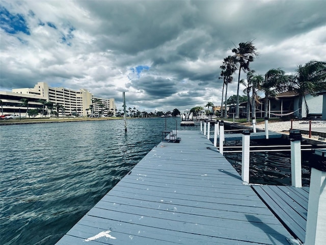 dock area with a water view